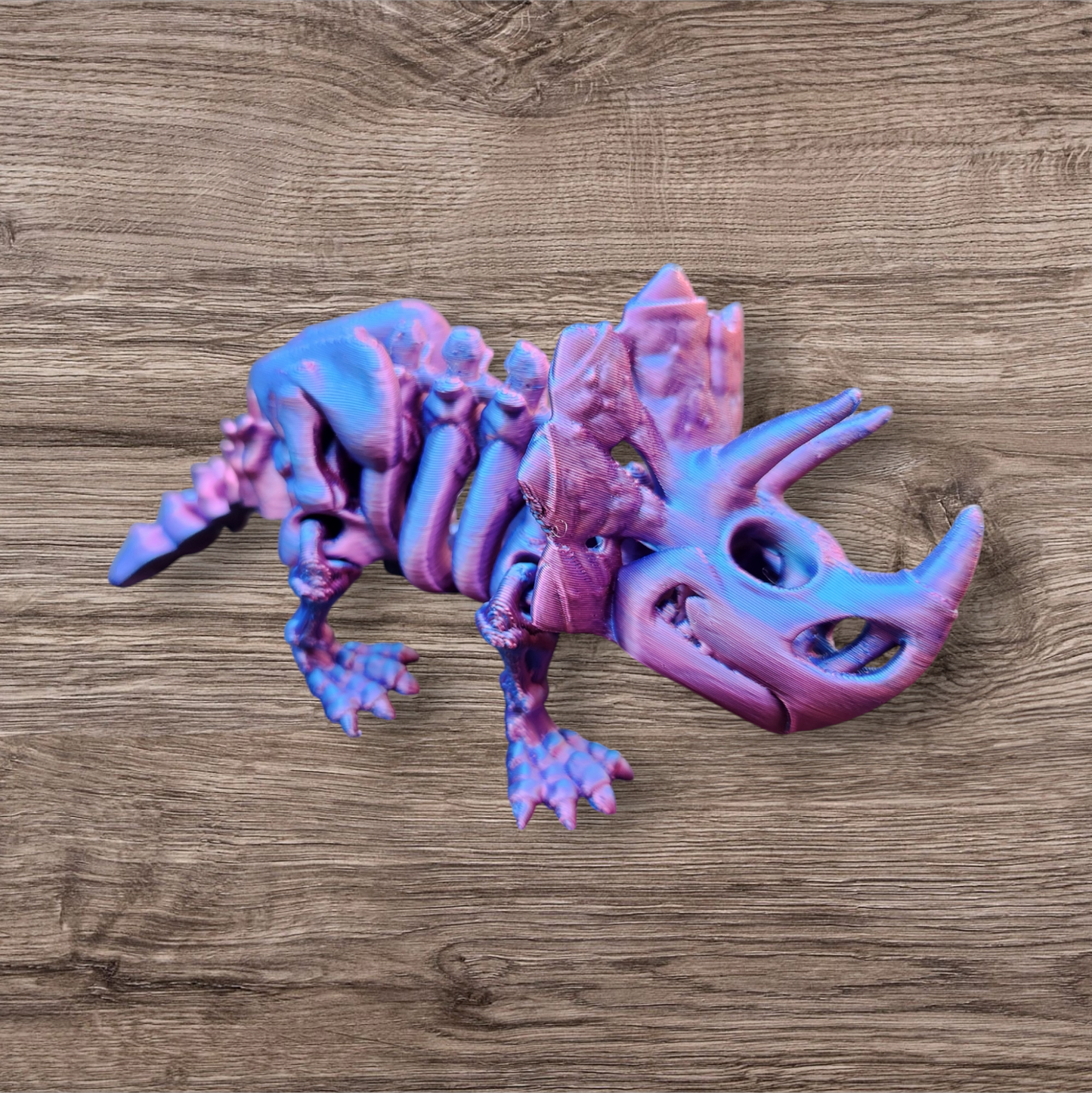 3D Triceratops